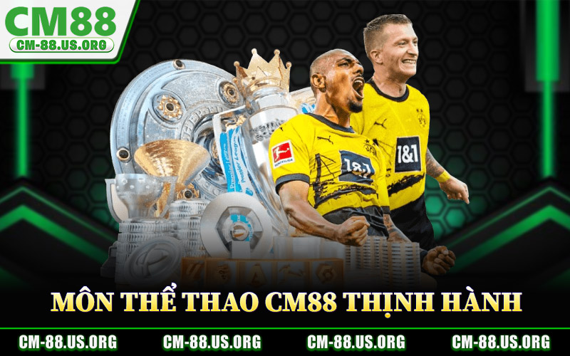 Thể Thao CM88 – Sân Chơi Đẳng Cấp Đa Dạng Giải Đấu Lớn 2 Các Môn Thể Thao CM88 Đang Thịnh Hành