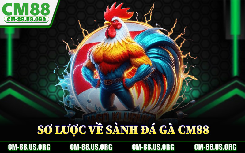 Đá Gà CM88 – Cá Cược Đá Gà Minh Bạch Tỷ Lệ Thưởng Cao 1 Sơ Lược Về Sảnh Đá Gà CM88